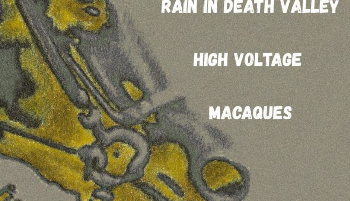 With Rain In Death Valley High Voltage Macaques - 1